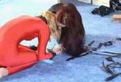 ab-077 - Lycra Girls in Bondage (2)