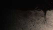 My piss in the slave's eye