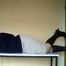 Hogtie auf dem Tisch