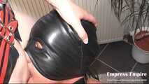 The Mistress's Toilet Paper