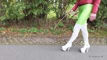 Walk with sticks