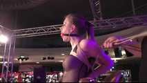 Bonus Update: Venus Award Winning Hogtie for Cobie !
