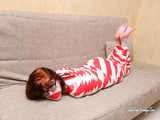 [From archive] Stella - wrapped in red and white duct tape 2