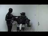 Male dog on the gynecological chair