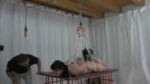 Suspension. Hook und Gewichte  1 von 2