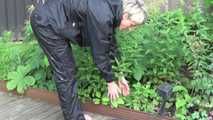 Watching Sonja lying in the garden lolling on the floor and watering the flowers wearing sexy black shiny nylon rainwear (Video)