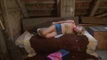 Kate - The girl of the banker Part 5 of 6