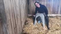 This is what happens to the groom when he disobeys