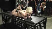 30 Minutes Hogtie Endurance Challenge - Tied in Public - Dee Williams tied by Rija Mae