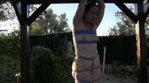 Hogtie in Blue...
