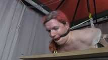 Painful Hogtie