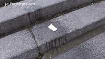 119007 Donna-Jo Pees Down The Park Steps