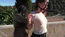 Public Bondage Walk Training Lesson for Any Twist