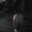 Thank you for your loyalty clips dollars only 1 per clip