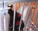 ab-086 Held for ransom (3)
