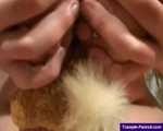 Chrissy, sits her toy to a pulp