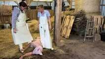 Slaughter day with Amely Pain which pig is today's turn