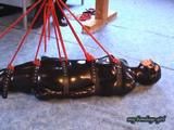 Suspension (VCD)