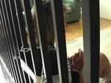 Anita in cuffs