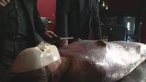 SC - The Tribunal - 01