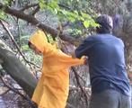 Janie caught in the Forest