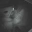 HIDDEN CAM AND FUCKING COUPLES