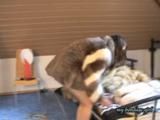 Anja, the fur slave 3