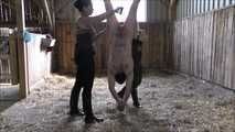 Abrichtung im Stall mit Mistress Kristin 