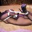 New Supertight Hogtie For Yvette