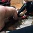 Heel Care with the Slave's Mouth: A Lesson in Diligence
