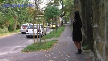 050012 Roxy Pees In The Residential Street