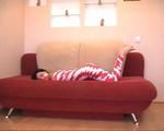 [From archive] Marvita mummified in red and white duct tape (video)