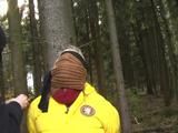 Miri at the forest