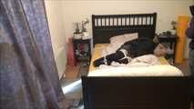 Melody - robbery in the apartment part 3 of 6