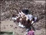 HIDDEN CAM AND FUCKING COUPLES