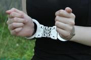 Hinged handcuffs