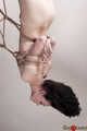 The Hanged Man... Dame