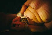 Nippel - Piercing mit Striemen vom Rohrstock