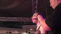 Bonus Update: Venus Award Winning Hogtie for Cobie !