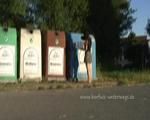 dispose garbage