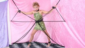 Amber Bound and Exposed - Standing Spread