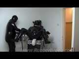 Male dog on the gynecological chair