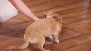 One pair of handcuffs are not enough