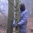 In the forest (2)