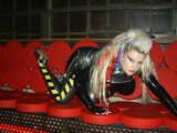Party Pics : Starlight