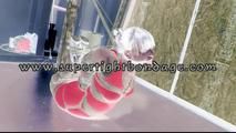 JJ Plush - hogtied by Delona