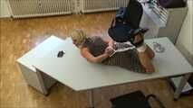 Julia – The Fake Auditor Part 5 of 7