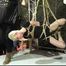 A new Suspension Demo