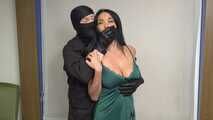 Suite Hostage - Part One - Anissa Kate