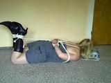 Reading in a hogtie 2/2